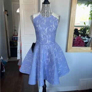 NWT Stunning Fit and Flare Dress With Periwinkle Lace. Small.